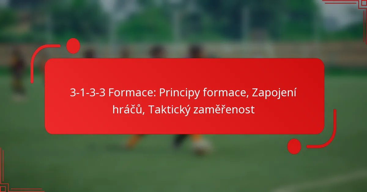 3-1-3-3 Formace: Principy formace, Zapojení hráčů, Taktický zaměřenost