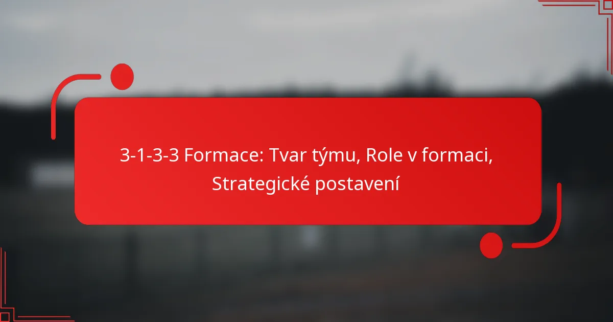 3-1-3-3 Formace: Tvar týmu, Role v formaci, Strategické postavení