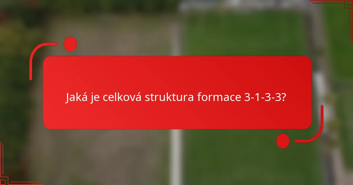 Jaká je celková struktura formace 3-1-3-3?